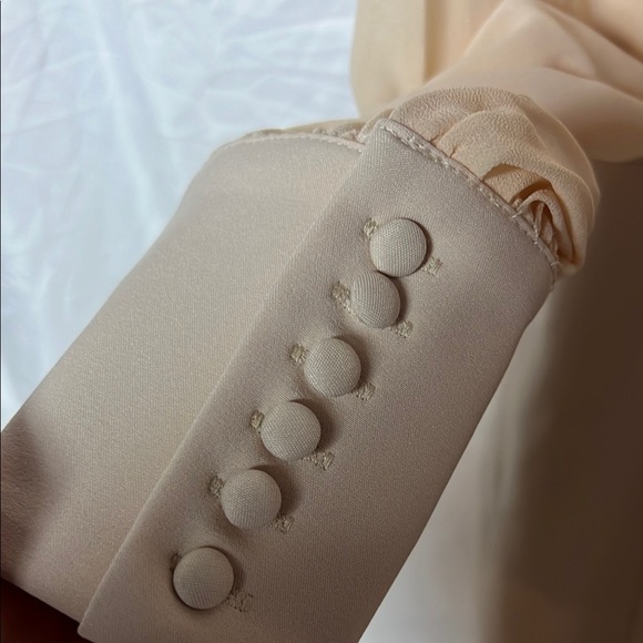 Lavish Allice Peach Cream Chiffon Bodycon Puff Sheer Sleeve Mini Dress Size 4 - Picture 4 of 15